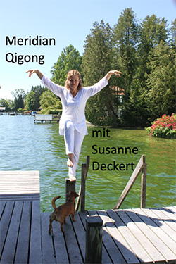 DVD cover